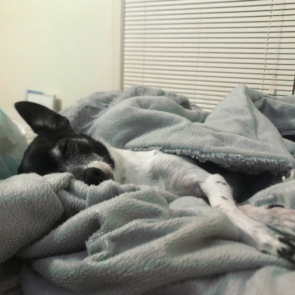 Meet your Posher, Beth - Picture 4 of 4